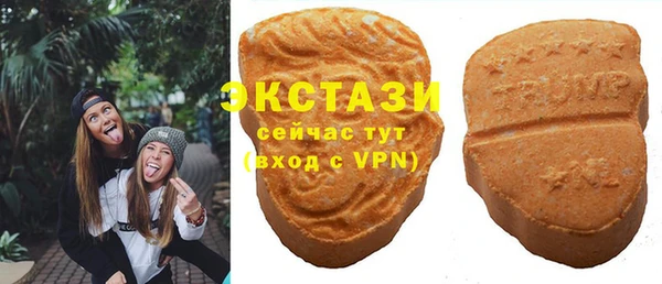 ECSTASY Богданович