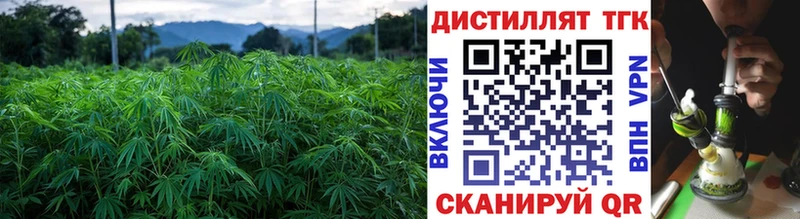 ТГК вейп с тгк  MEGA вход  Сольцы 