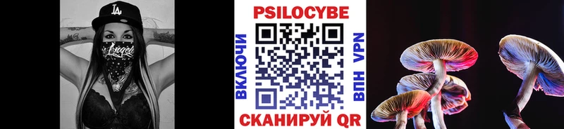 Псилоцибиновые грибы прущие грибы  Сольцы 